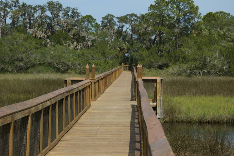 forst mose state park boardwalk