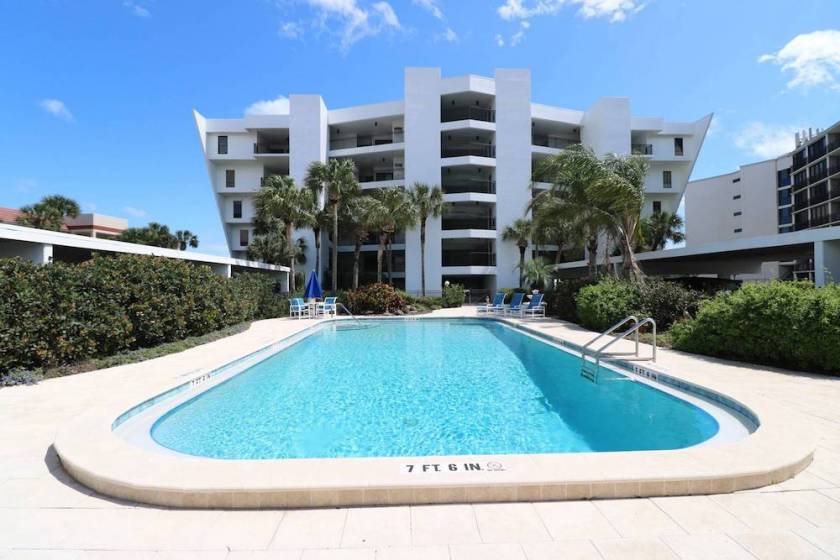 palm trees next to pool